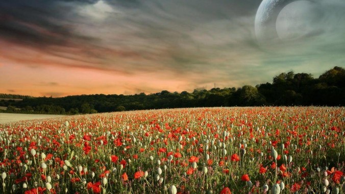 照骗能骗到什么程度？